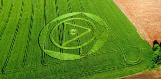 Desenho em plantação chama atenção em cidade de SC conhecida por registros de agroglifos