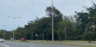 Temporais, queda de temperatura, neve geada: tempo deve mudar em SC dia nublado em joinville