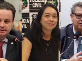 Confira os candidatos a deputado federal mais votados em Joinville deputado federal
