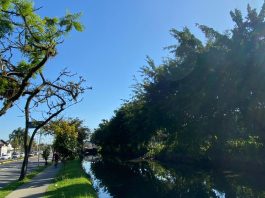 tempo de sol em joinville