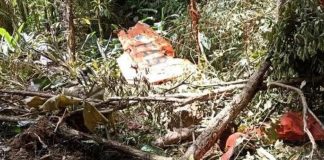 Destroços do avião da Força Aérea são localizados na Grande Florianópolis