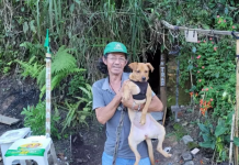 “Caverna” usada como moradia por homem em situação rua é aterrada em SC; entenda