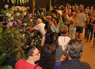 festa das flores joinville