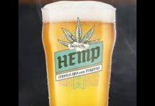 Festival Craft Beer, em Joinville, terá cerveja com aroma de cannabis