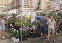 mercado de plantas com pessoas passand ao redor. tem várias orquídeas roxas na frente e algumas penduradas no topo do estande