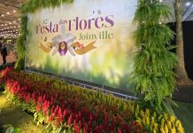 Festa da Flores é uma opção de o que fazer em Joinville
