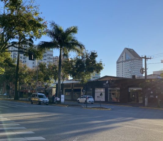 Árvores e carros passando em uma rua no centro de Joinville, com o céu sem nenhuma nuvem