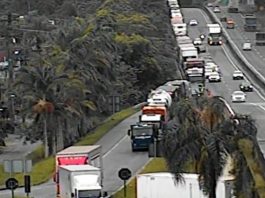 Congestionamento de acesso à Serra Dona Francisca gera fila na BR-101, em Joinville