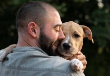 Prefeitura de Joinville orienta sobre cuidados com animais domésticos durante as festas de fim de ano