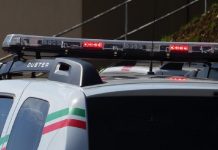 Jovem é detido com passarinhos sem autorização em Jaraguá do Sul
