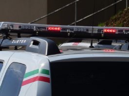 Jovem é detido com passarinhos sem autorização em Jaraguá do Sul