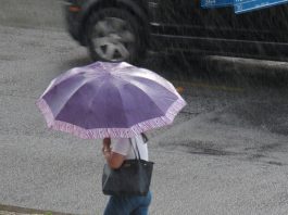 guarda chuva roxo