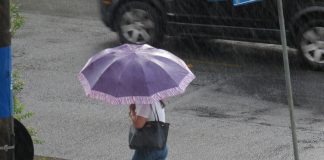 guarda chuva roxo