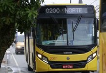 ônibus amarelo do transporte coletivo de joinville