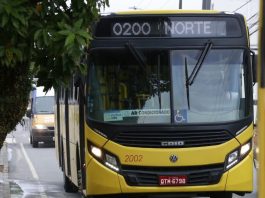 ônibus amarelo do transporte coletivo de joinville