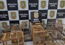 diversas gaiolas no chão e em frente ao banner da polícia civil