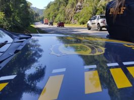 BR-101 é rodovia federal de SC com mais acidentes com morte em 2022