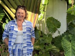 Confira os principais registros de joinvilenses nas últimas semanas