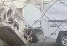 Polícia Civil cumpre mandado de prisão contra suspeita de matar a avó no Litoral Norte