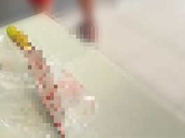 Homem que matou padrasto e esfaqueou mãe, em Jaraguá do Sul, tem passado violento, diz PM Faca utilizado por homem em crime