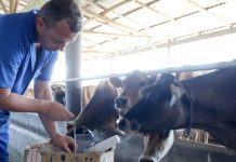 Joinville oferece cursos gratuitos para produtores rurais durante o mês de janeiro; saiba como participar