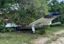 Avião bateu contra árvores