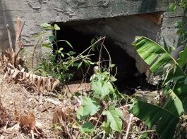 Corpo de mulher em estado de decomposição é encontrado dentro de tubulação em SC