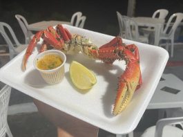 7ª Festa do Caranguejo de Araquari espera público de mais de 15 mil pessoas