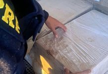 PRF apreende quatro toneladas de camarão ilegal no Litoral Norte de SC