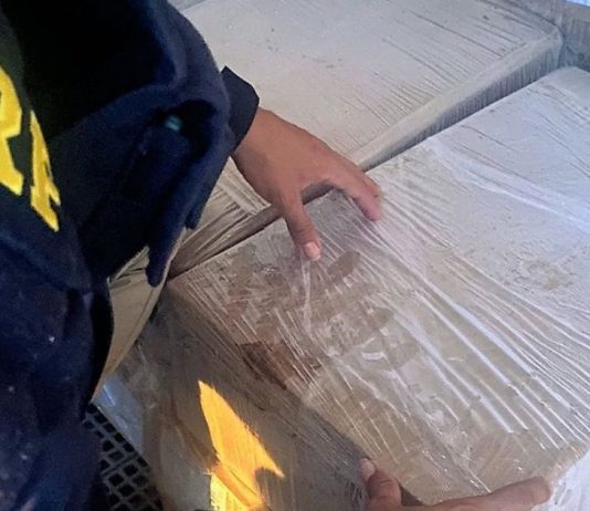 PRF apreende quatro toneladas de camarão ilegal no Litoral Norte de SC