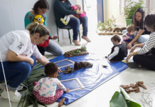novas vagas em ceis