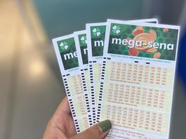 Resultado da Mega-Sena: 37 apostas de Joinville são premiadas após acertarem a quadra