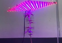 PM flagra estufa com plantação de maconha dentro de apartamento em Jaraguá do Sul