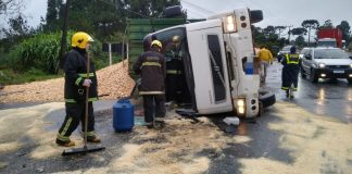 Caminhão tomba na BR-280 e motorista fica ferido em Rio Negrinho