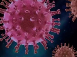 Covid-19: OMS declara fim da urgência de saúde global