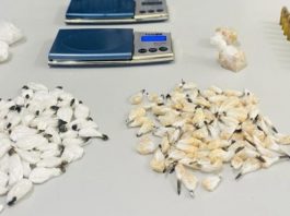 Homem com mandado de prisão em aberto é preso com drogas e munições em Joinville