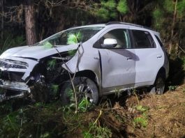 Carro bate em capivaras e cai em ribanceira na Serra catarinense