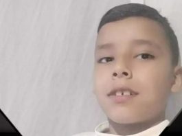 Criança de 12 anos morre após queda de cavalo no Vale do Itajaí