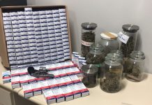 Polícia fecha laboratório de maconha em Jaraguá do Sul