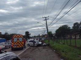 Saiba estado de saúde de garupa que sobreviveu após grave acidente de moto na SC-415, em São Francisco do Sul