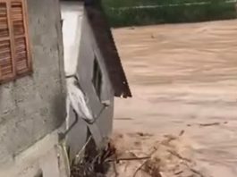 VÍDEO – Casa é arrastada por correnteza de rio no Sul de SC