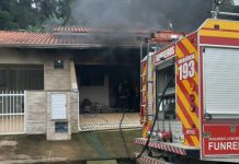 Homem ateia fogo no quarto da ex-companheira e mata seis gatos dela em SC