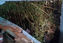 Deslizamento de terra sobre duas casas mobiliza bombeiros no Norte de SC