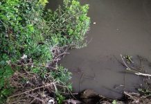 Homem morre afogado após cair em rio em Santa Catarina