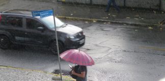 pessoa segurando guarda-chuva na rua