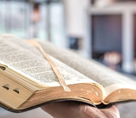 Vereadores de Joinville aprovam criação do Dia da Bíblia