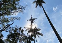 calor em joinville