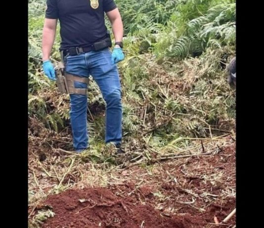 Corpo de adolescente é encontrado enterrado em matagal no Oeste catarinense