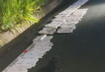 Mais de 100 kg de dinamite são encontrados em área rural no Vale do Itajaí