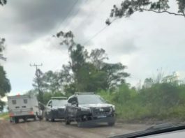 Polícia Civil atualiza informações sobre corpo encontrado em área de mata de Joinville